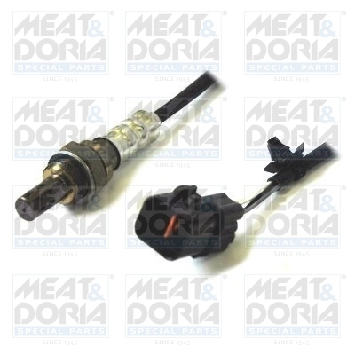 Oxygen Sensor